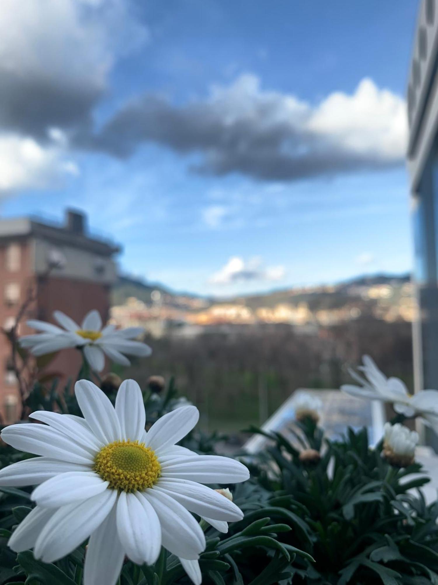 La Finestra Sul Parco Apartment La Spezia Bagian luar foto
